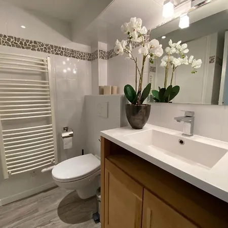 Apartmán In With Pool And Access Saint-Raphaël